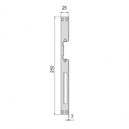 Плоска відповідна планка CISA зі сталевим фронтом, 250×25×3 мм